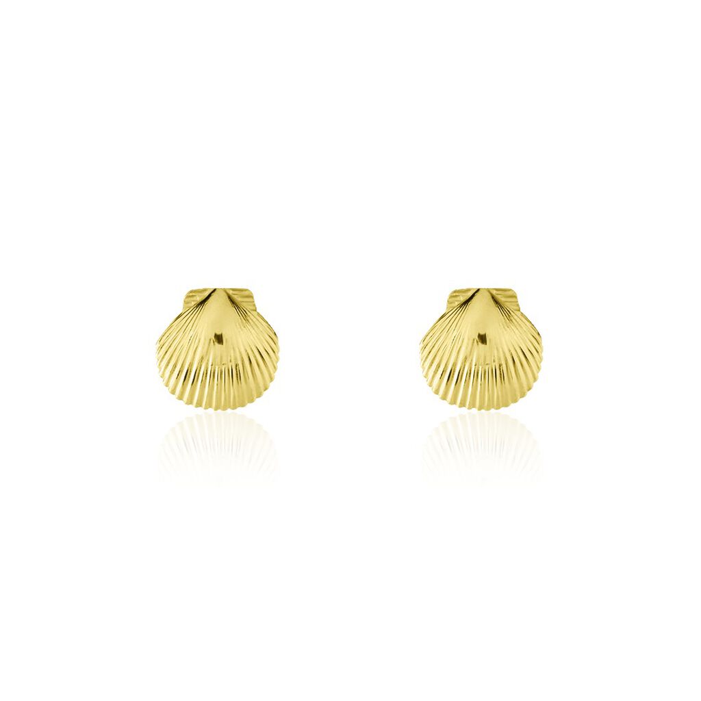 WERITA Damen Ohrstecker Silber vergoldet 925 Muschel, Ohrstecker ohne Stein