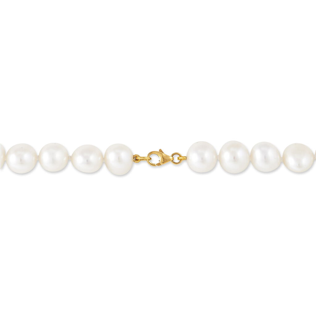 Collier Sameira Or Jaune Perle De Culture - Spannringe Damen | OROVIVO