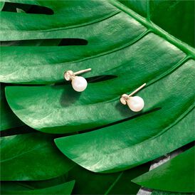 Damen Perlenohrringe Gold 375 Zuchtperle Zirkonia - Ohrringe Damen | OROVIVO
