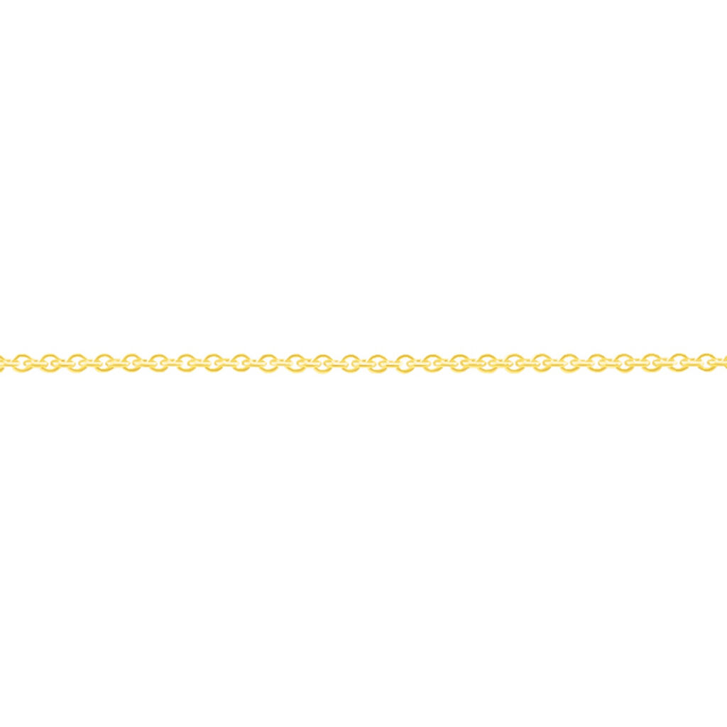 Damen Ankerkette Gold 375  - Halsketten Damen | OROVIVO