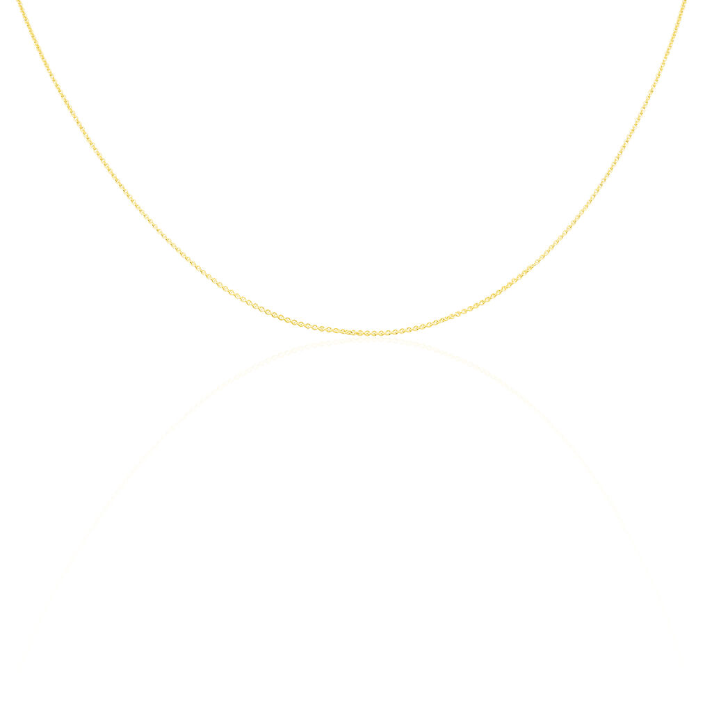 Damen Ankerkette Gold 375  - Halsketten Damen | OROVIVO