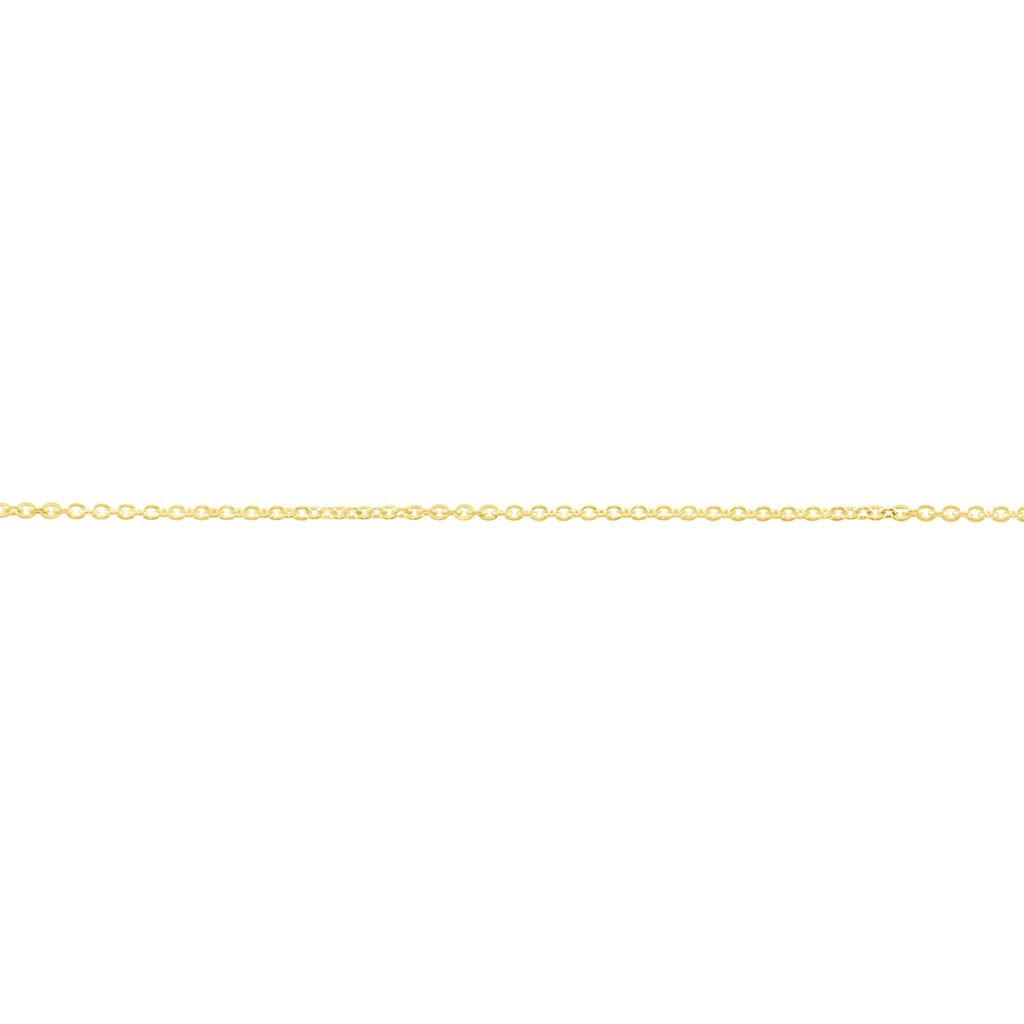Unisex Ankerkette Gold 375 , Kette ohne Stein