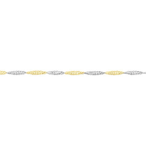 Damen Singapurkette Gold 375  - Halsketten Damen | OROVIVO