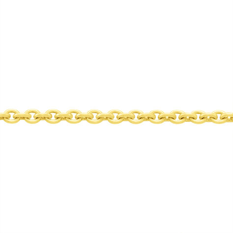 Kinder Ankerkette Gold 333  - Halsketten Kinder | OROVIVO