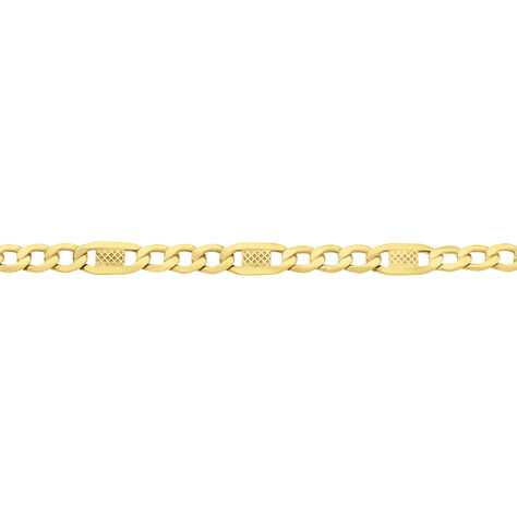 Unisex Figarokette Gold 375  - Halsketten Unisex | OROVIVO
