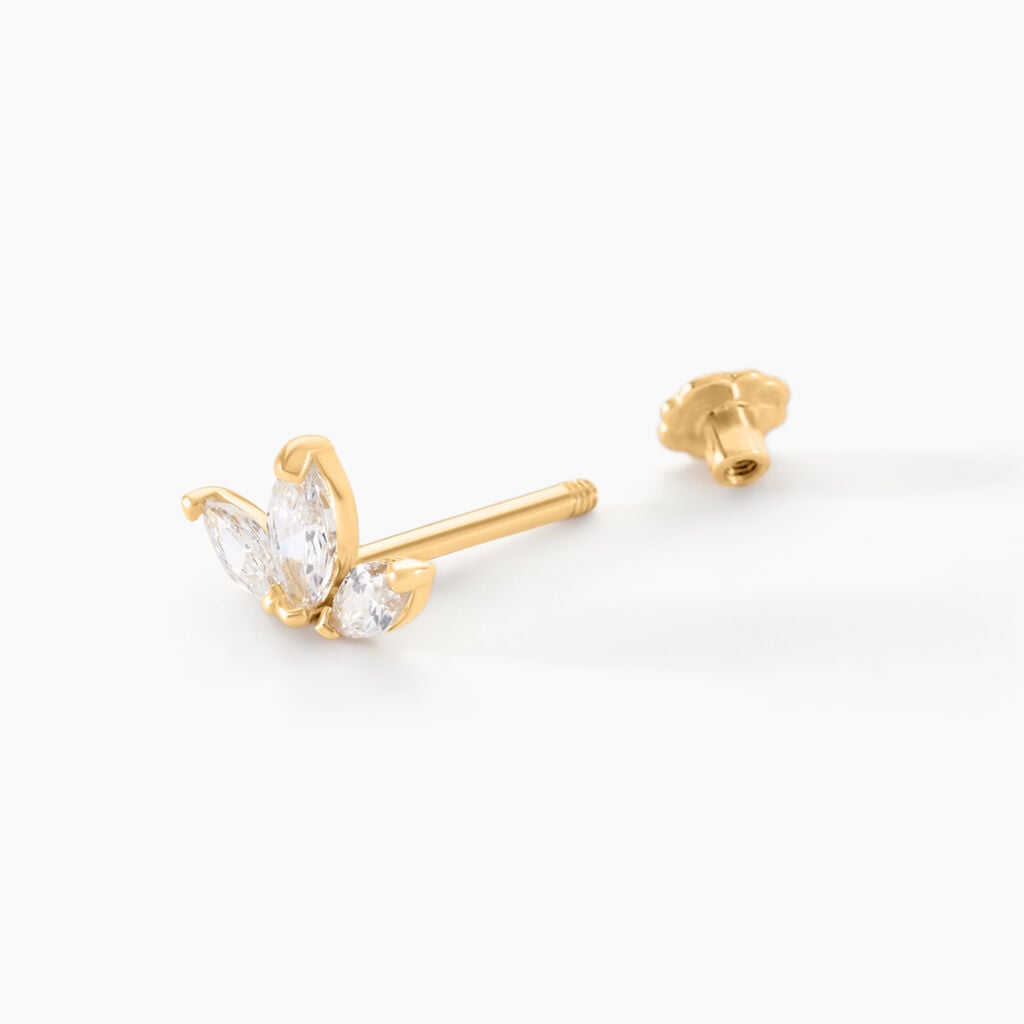 Piercing D'oreilles Asclepias Or Jaune