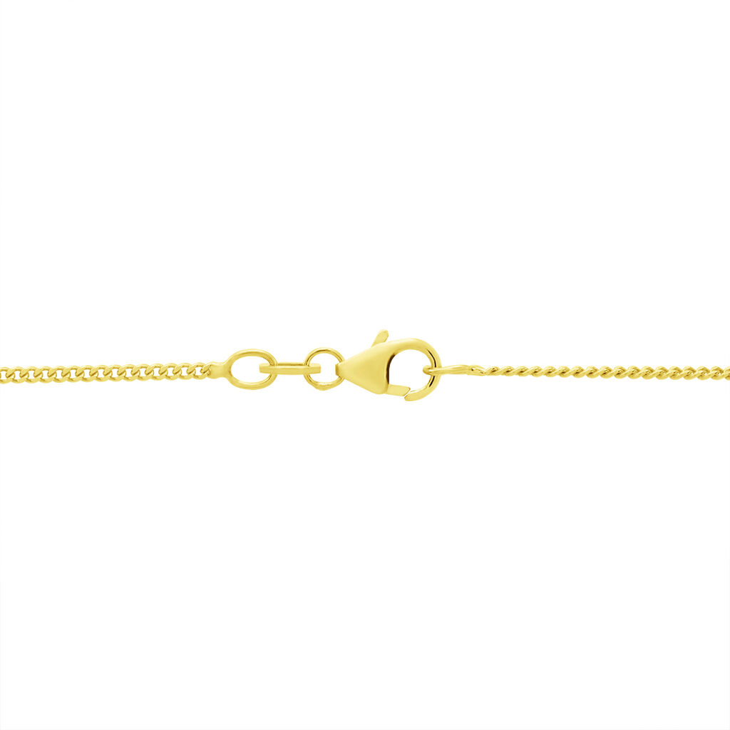 Unisex Panzerkette Gold 375  - Halsketten Unisex | OROVIVO