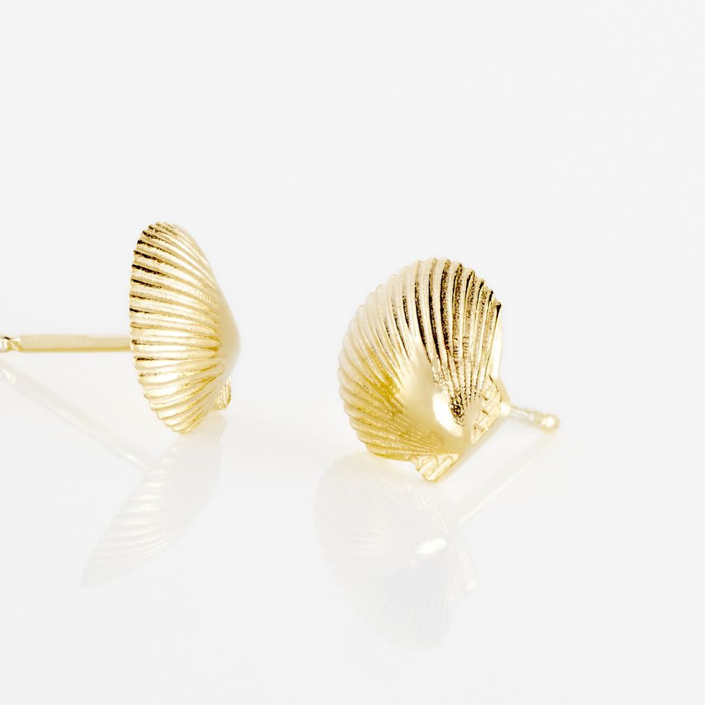 WERITA Damen Ohrstecker Silber vergoldet 925 Muschel