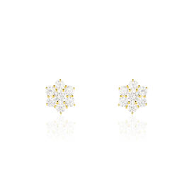 Damen Ohrstecker Gold 375 Zirkonia Blume - Ohrstecker Damen | OROVIVO