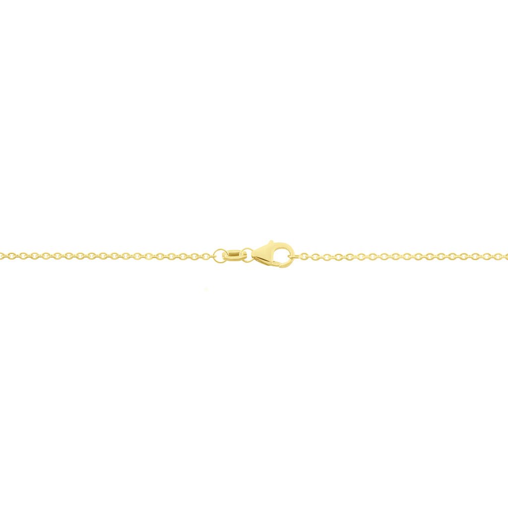 Damen Ankerkette Gold 375  - Halsketten Damen | OROVIVO