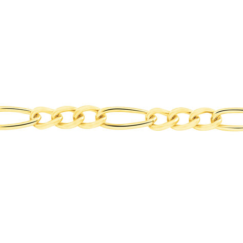 Damen Figarokette Gold 375  - Halsketten Damen | OROVIVO