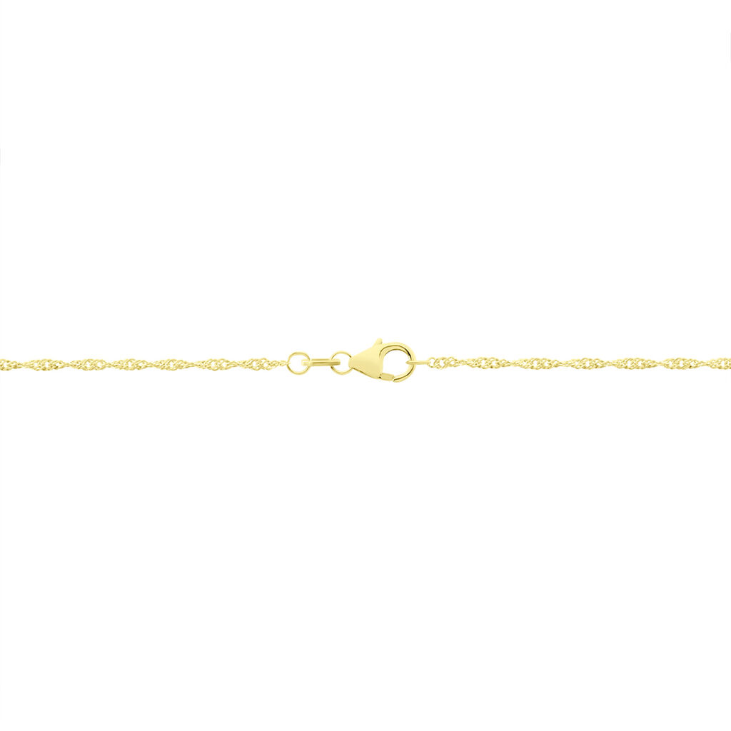 Damen Singapurkette Gold 375  - Halsketten Damen | OROVIVO