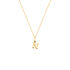 ALPHABET Unisex Anh&auml;nger Gold 375 (9 Karat) Buchstabe N