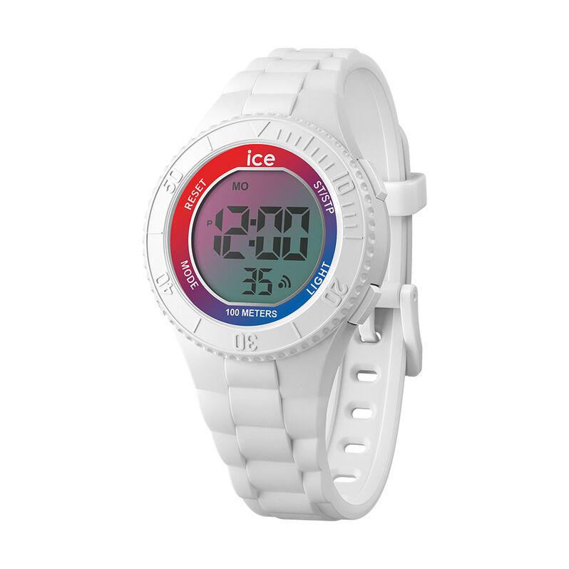 Montre Ice Watch Digit Gris - Spannringe Damen | OROVIVO