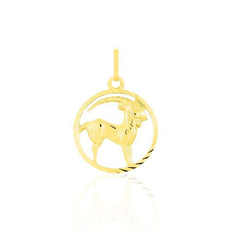 Unisex Anhänger Gold 333 Sternzeichen Steinbock - Schmuckanhänger Unisex | OROVIVO