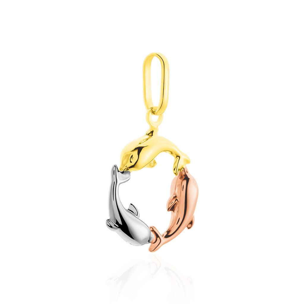 Anhänger Gold 375 Tricolor Delfin  - Schmuckanhänger Familie | OROVIVO