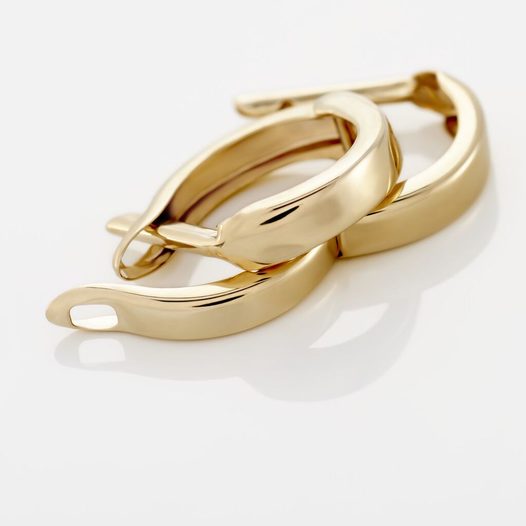 Damen Creolen Gold 375