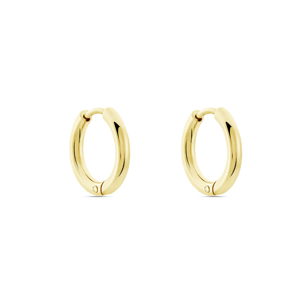 Damen Creolen Titan vergoldet Sierra  - Creolen Damen | OROVIVO