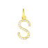 Anhänger Gold 375 Zirkonia Buchstabe S