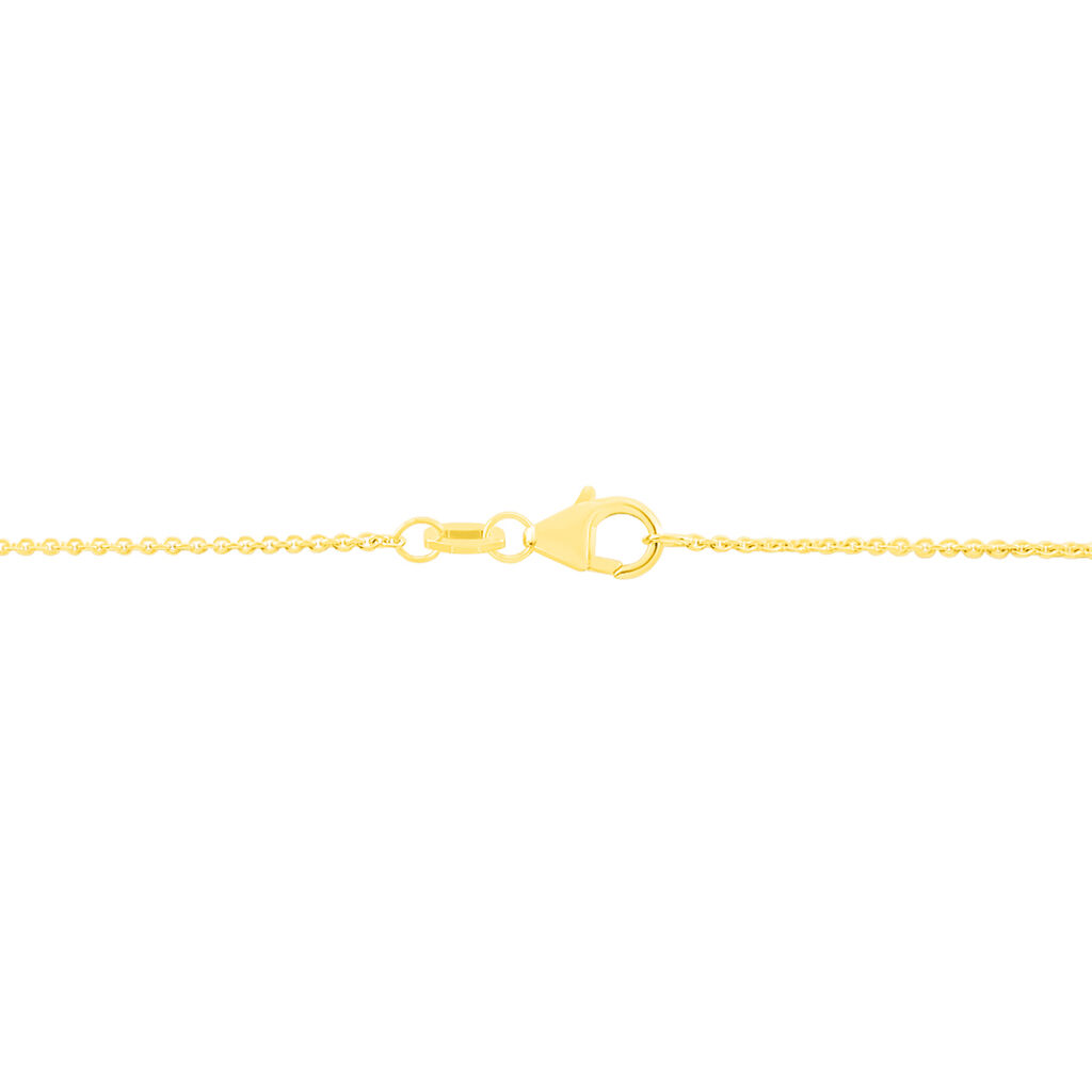 Damen Ankerkette Gold 375  - Halsketten Damen | OROVIVO