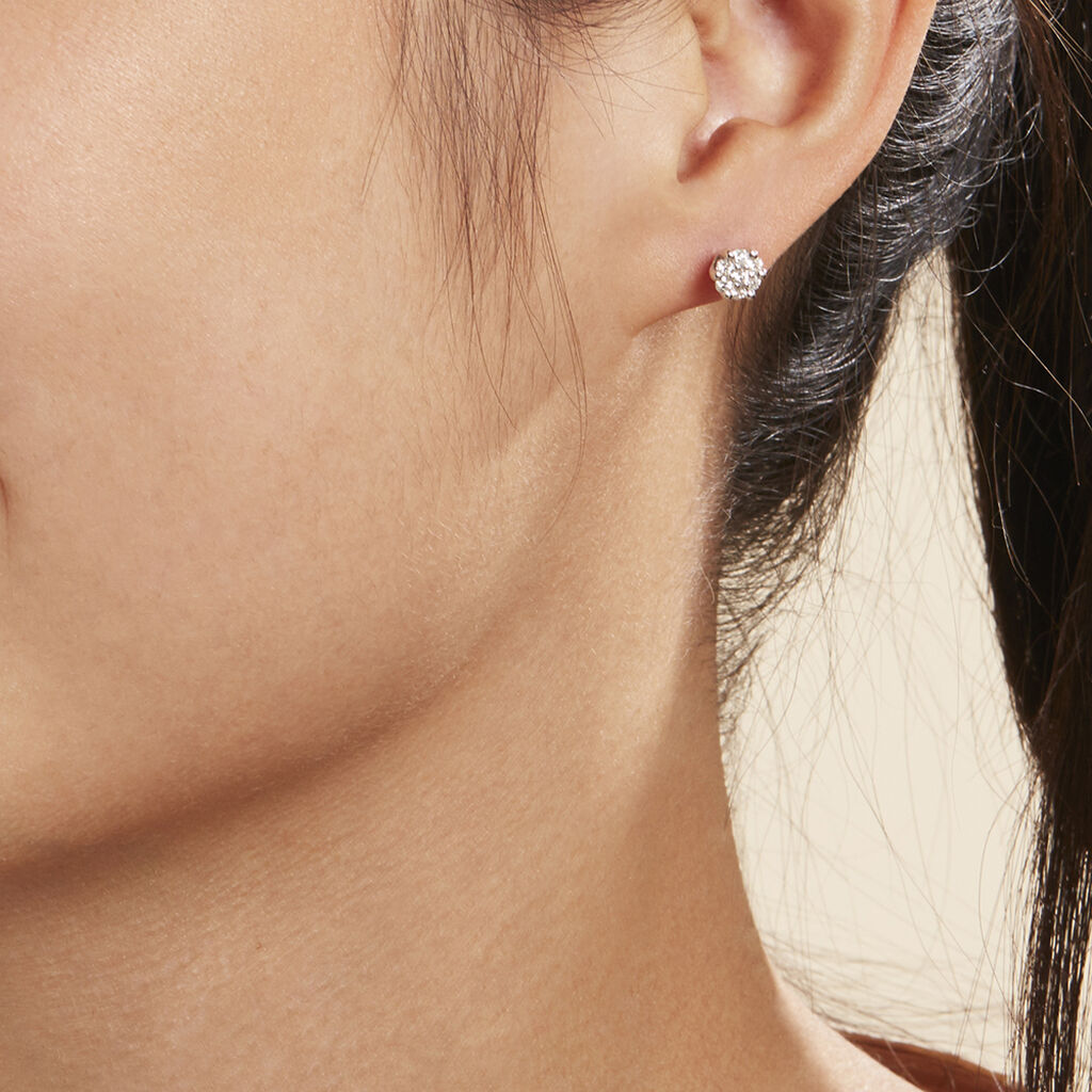 Damen Ohrstecker Weißgold 585 Rund Weiß Carocla - Ohrstecker Damen | OROVIVO