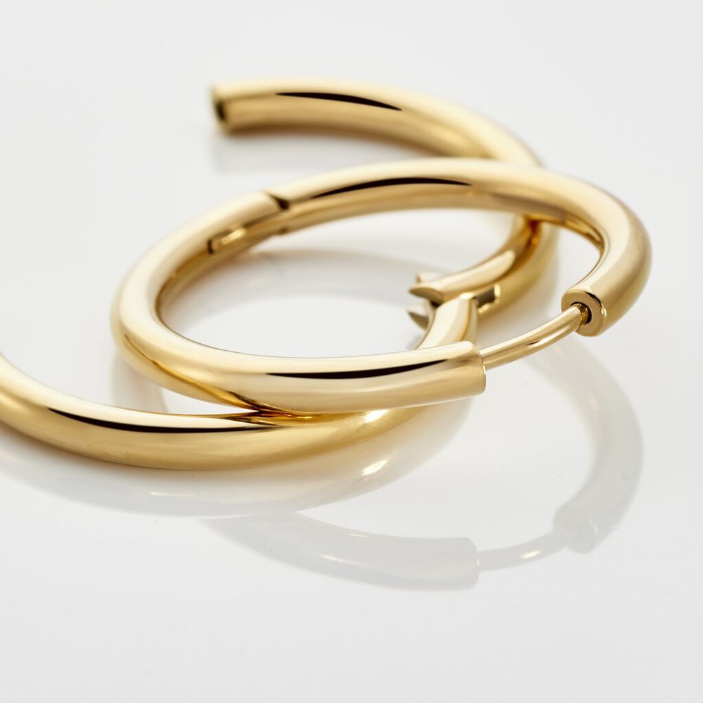 SCARLET Damen Creolen Titan vergoldet B 2,5 mm