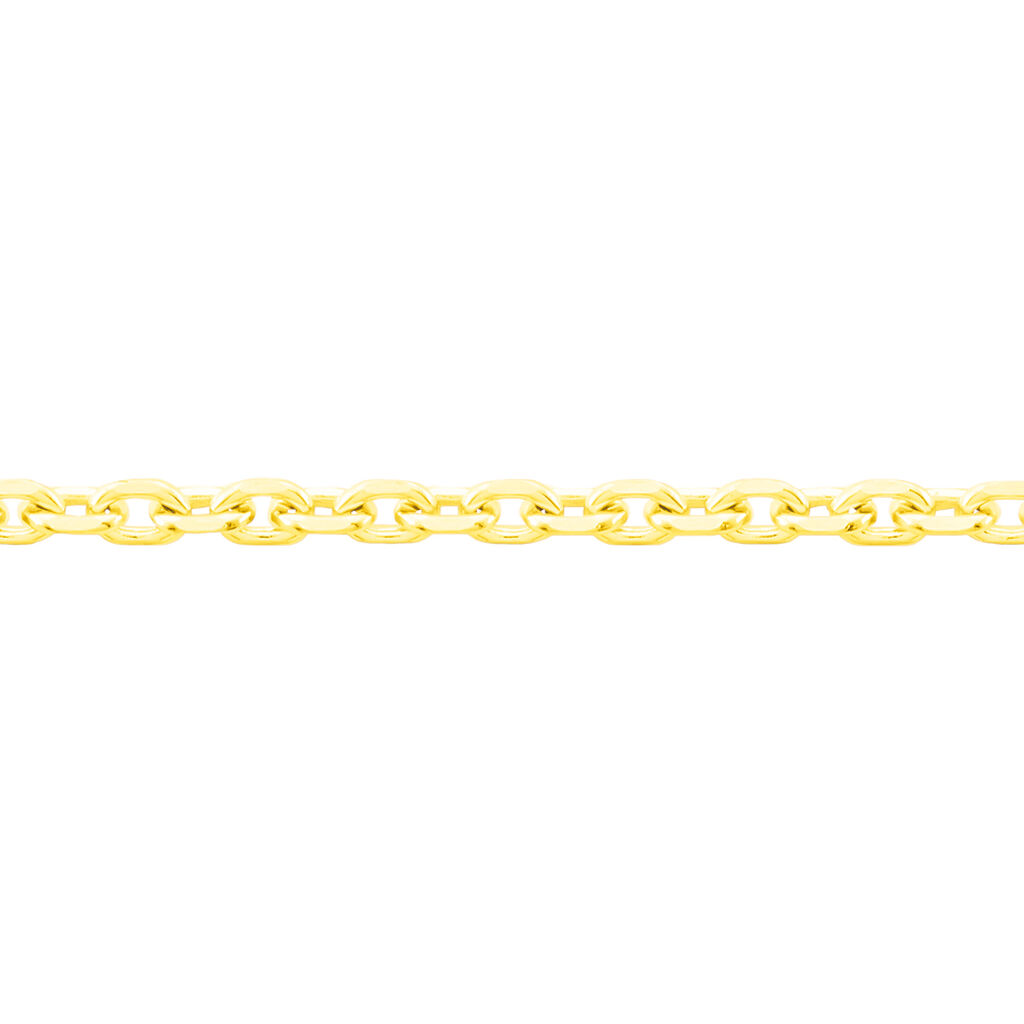 Damen Ankerkette Gold 585 Diamantiert  - Halsketten Damen | OROVIVO