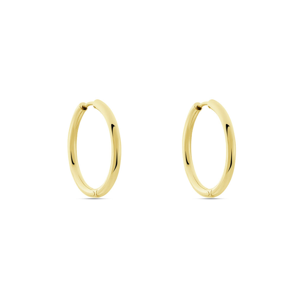 Damen Creolen Titan vergoldet Scarlet  - Creolen Damen | OROVIVO