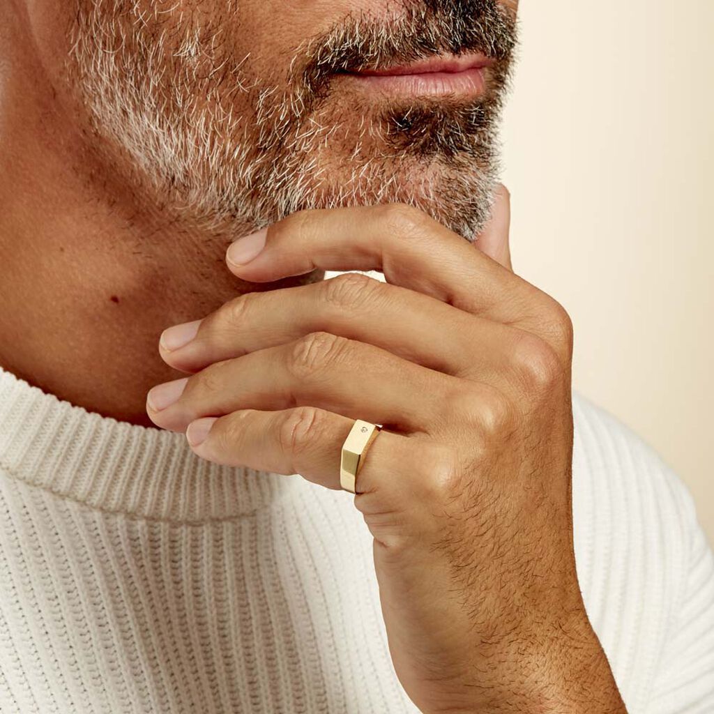 RECTANGLE 02 Herren Siegelring Gold 375 (9 Karat) Zirkonia Weiß 0,01 ct - Verlobungsringe Herren | OROVIVO