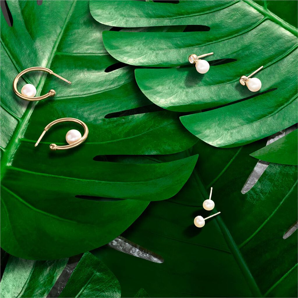 Perlenohrringe Gold 375 Zuchtperle 4-4,5mm - Ohrstecker Familie | OROVIVO
