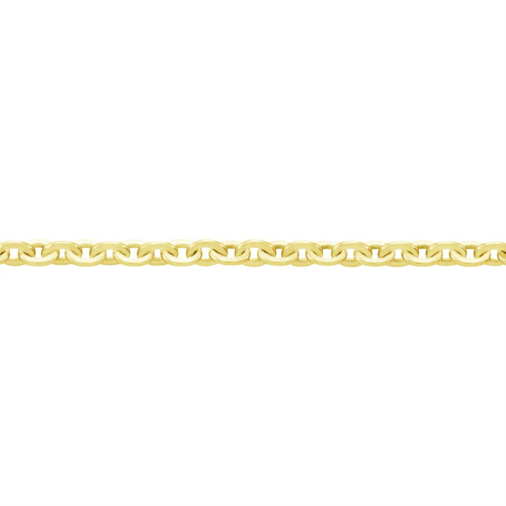 Damen Ankerkette Gold 375  - Halsketten Damen | OROVIVO