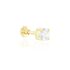 Piercing D'oreille Or Jaune Albizias Oxydes De Zirconium
