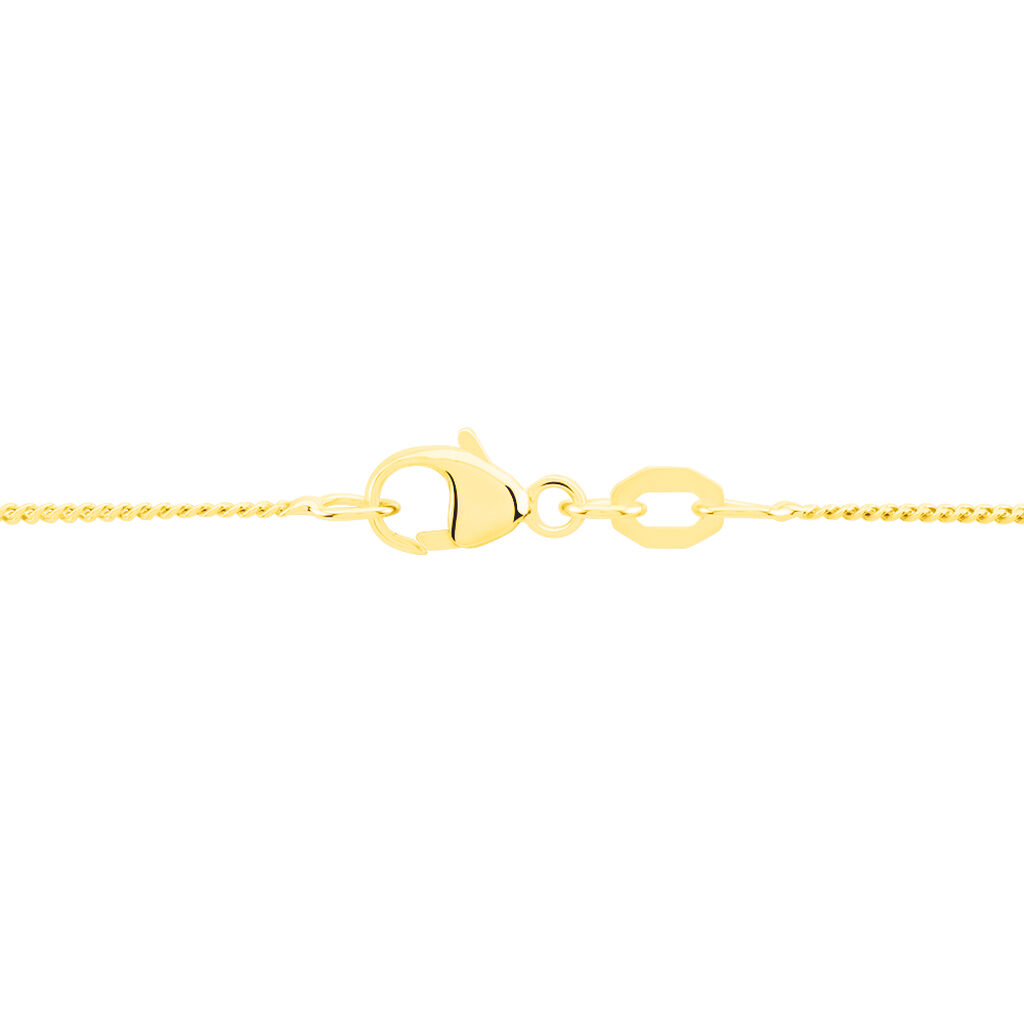 Damen Panzerkette Gold 375  - Halsketten Damen | OROVIVO