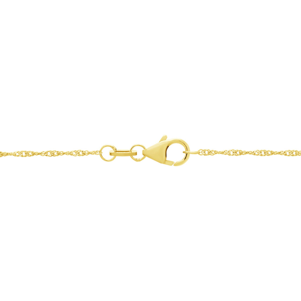 Damen Singapurkette Gold 375  - Halsketten Damen | OROVIVO