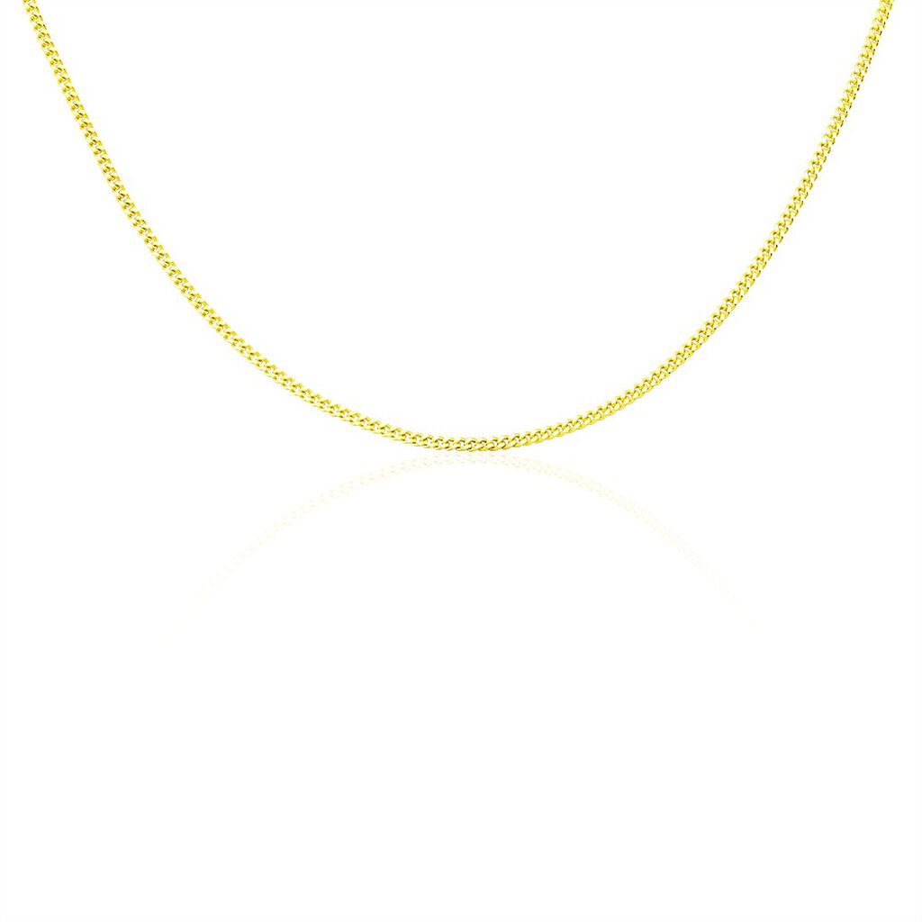 PANZER S 5 Unisex Kette Silber vergoldet 925 B 2,4 mm