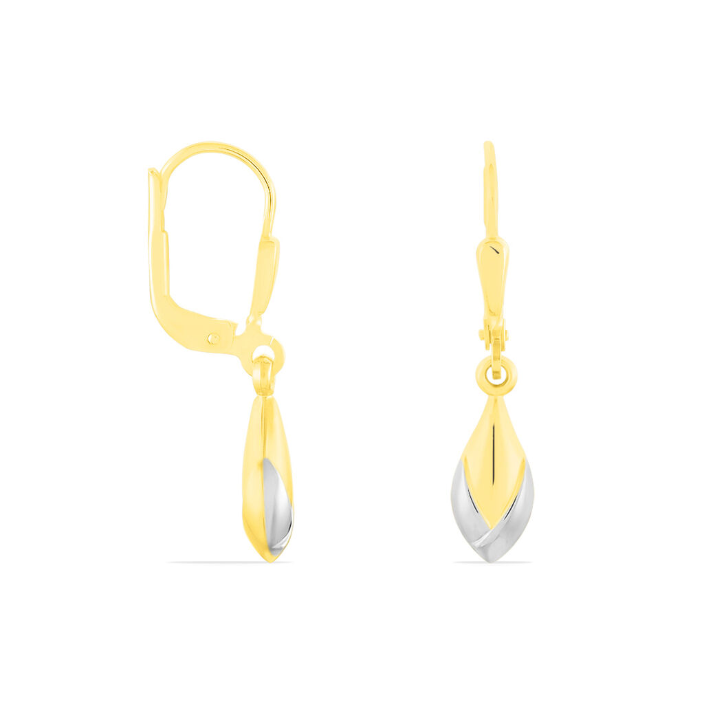 Damen Ohrhänger Gold 333 Bicolor - Ohrhänger Damen | OROVIVO