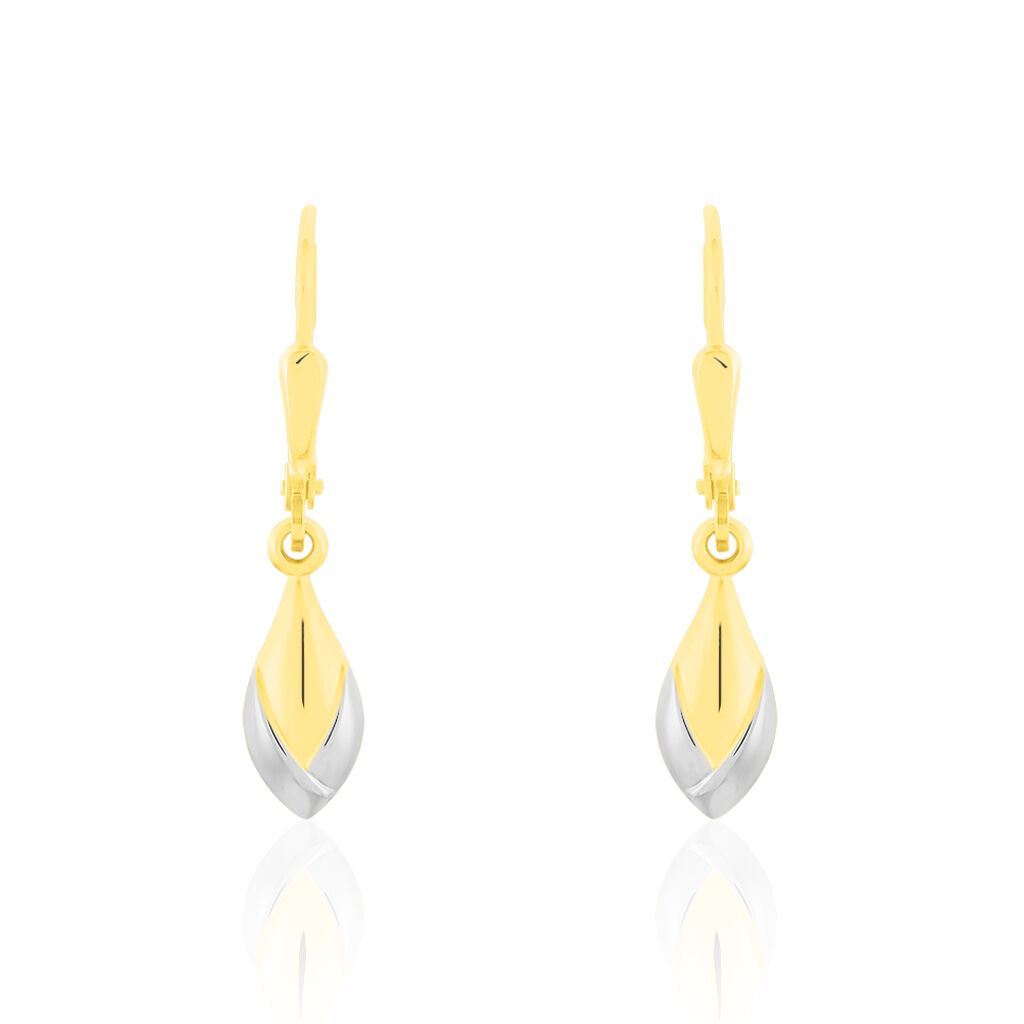 Damen Ohrhänger Gold 333 Bicolor - Ohrhänger Damen | OROVIVO