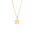 ALPHABET Unisex Anhänger Gold 375 (9 Karat) Buchstabe M