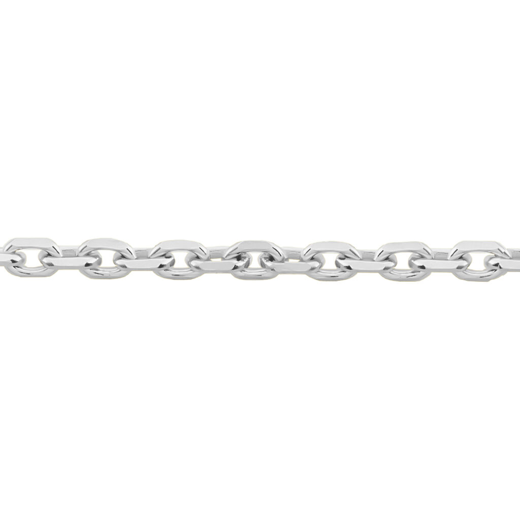 Unisex Ankerkette Weißgold 585  - Halsketten Unisex | OROVIVO
