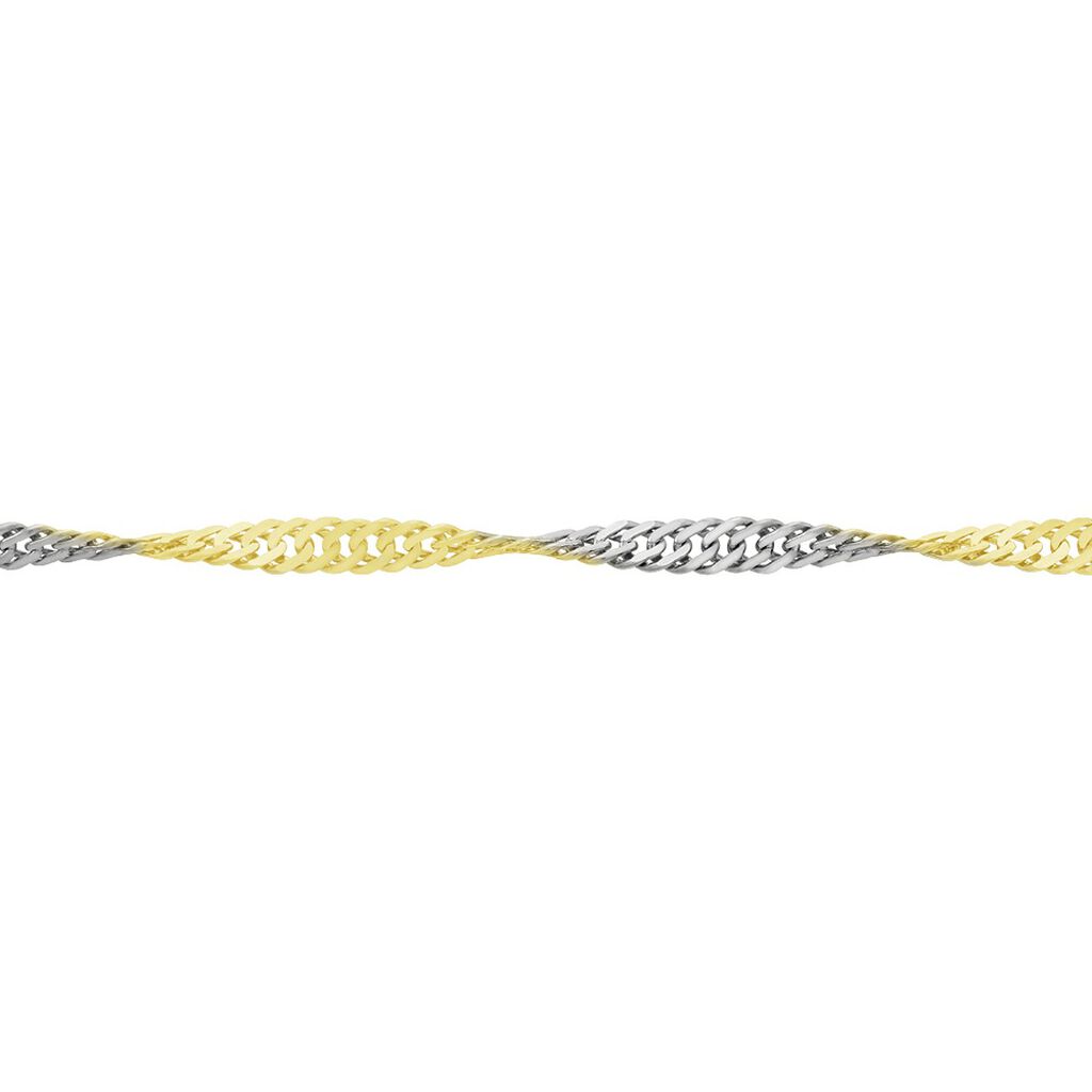 Damen Singapurkette Gold 375  - Halsketten Damen | OROVIVO