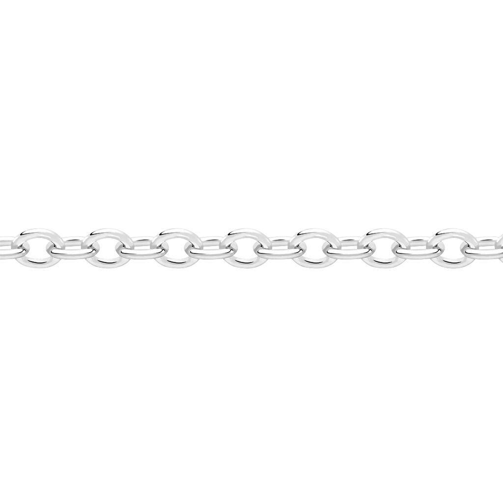 Unisex Ankerkette Weißgold 375  - Halsketten Damen | OROVIVO
