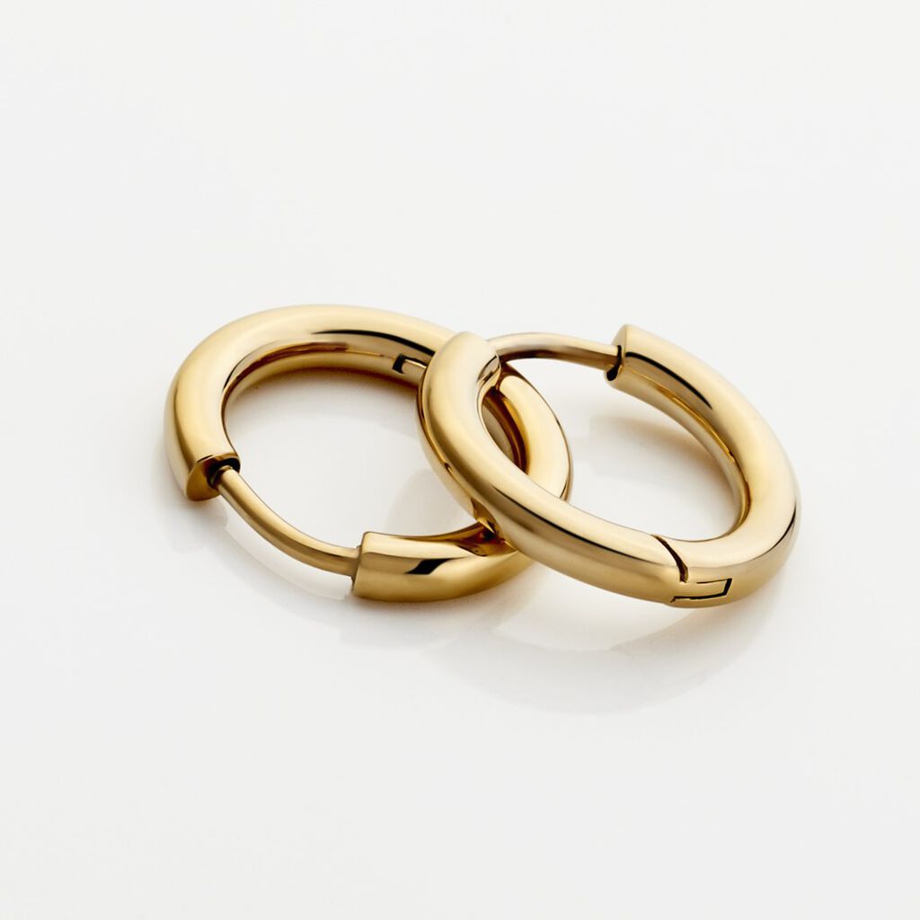 SIERRA Damen Creolen Titan vergoldet B 2,5 mm