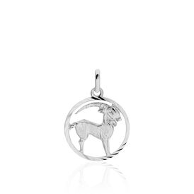 Herrenanhänger Silber 925 Sternzeichen Steinbock - Personalisierte Geschenke Unisex | OROVIVO