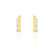 Damen Creolen Gold Bicolor 333 (8 Karat) Barren