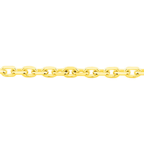 Damen Ankerkette Gold 585  - Halsketten Unisex | OROVIVO