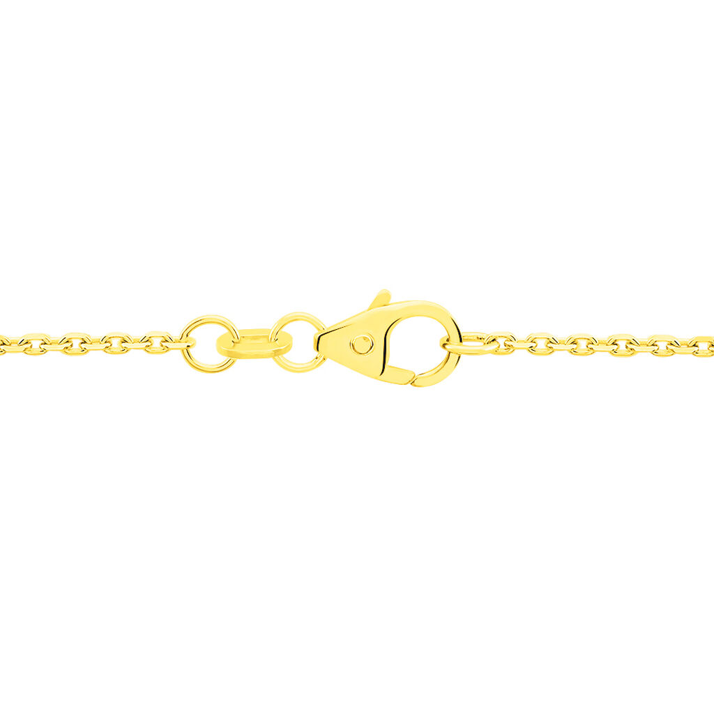 Damen Ankerkette Gold 585  - Halsketten Unisex | OROVIVO