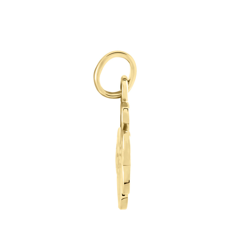 Pendentif Plaqué Or - Spannringe Familie | OROVIVO