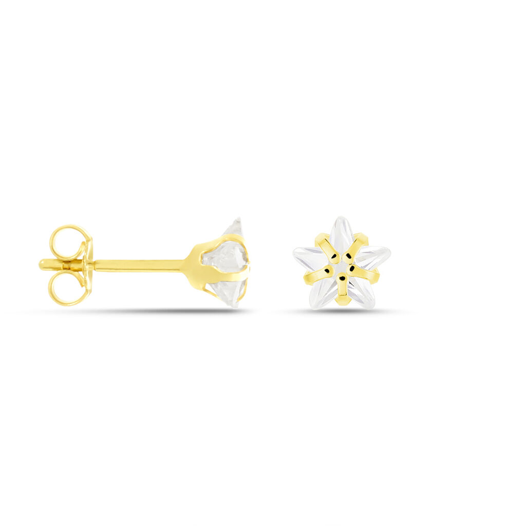 Ohrstecker Gold 333 Zirkonia Stern - 14160011442R00 • Orovivo | Dein  Online-Juwelier