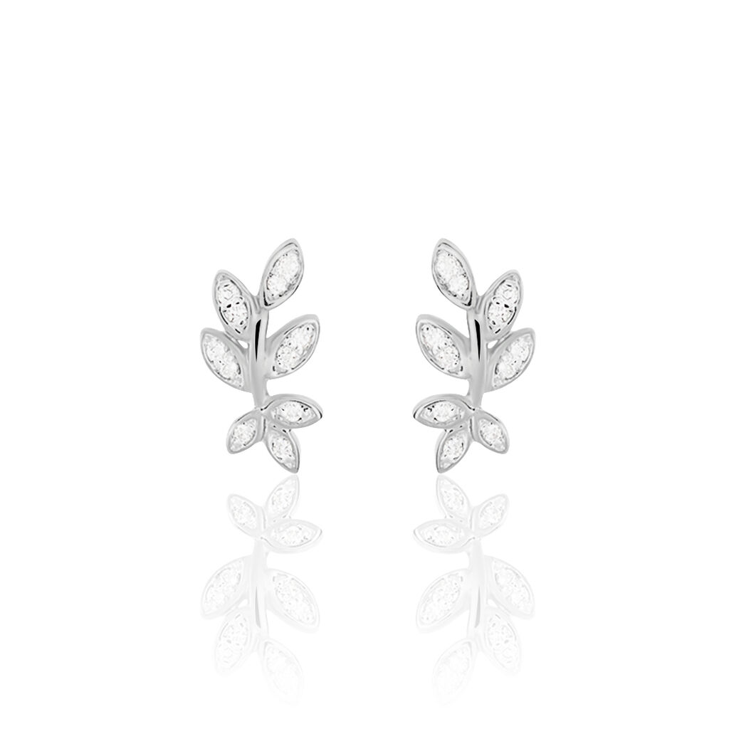 Boucles D'oreilles Or Weiss Sylvania - Spannringe Damen | OROVIVO