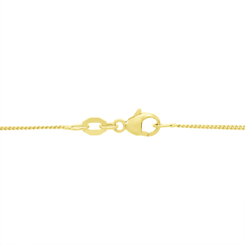Damen Panzerkette Gold 375  - Halsketten Damen | OROVIVO